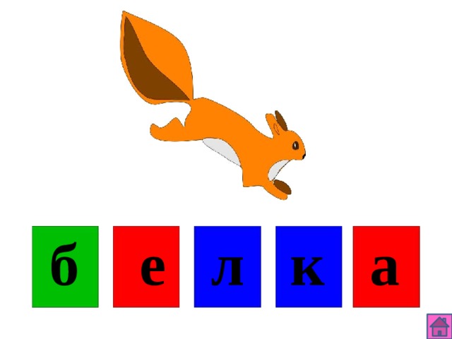 Звуковая схема слова белка
