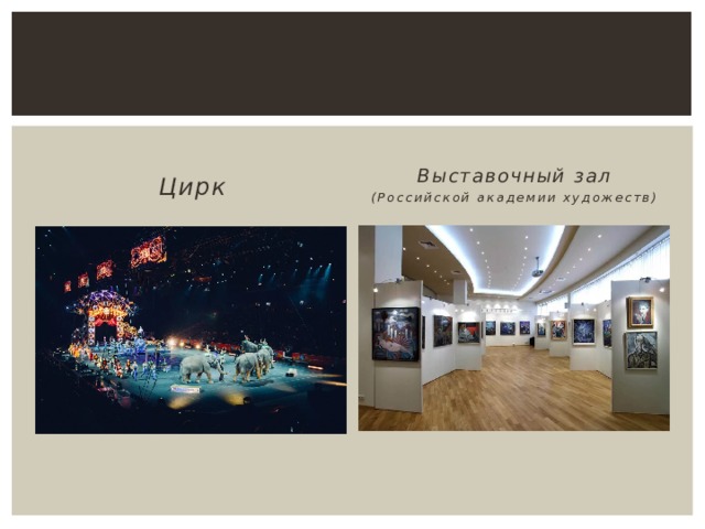 Цирк Выставочный зал (Российской академии художеств) 