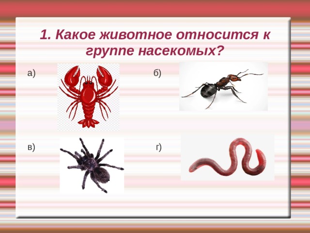 1. Какое животное относится к группе насекомых? а) б) в) г) 