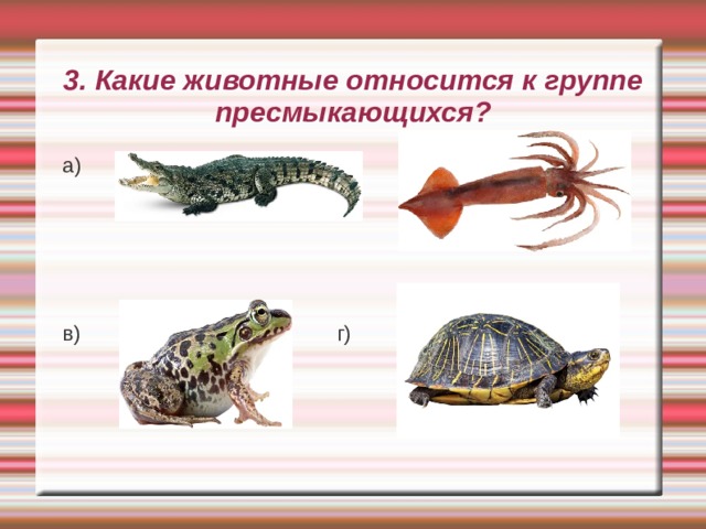 3. Какие животные относится к группе пресмыкающихся? а) б) в) г) 