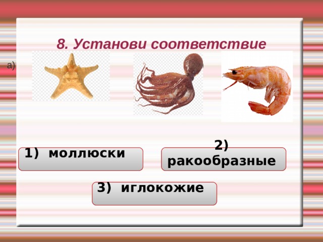 8. Установи соответствие а) б) в) 1) моллюски  2) ракообразные  3) иглокожие  