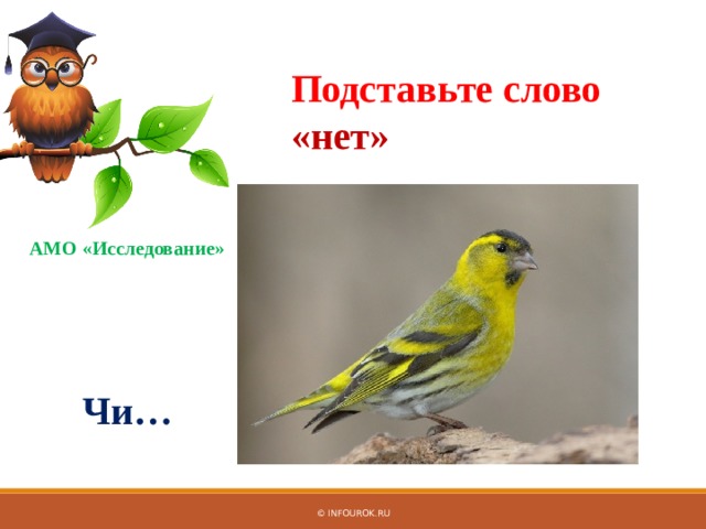 Подставьте слово «нет» АМО «Исследование» Чи… © InfoUrok.ru 