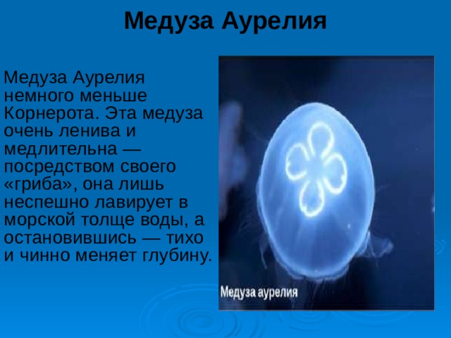 Проект медуза музыка