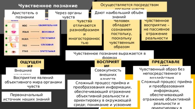 Осуществляется посредством органов чувств Чувственное познание Дают наибольший объём знаний Через органы чувств Аристотель о познании Чувственное восприятие – не пассивное отражение реальности Человек обладает сознанием постольку, поскольку чувственным образом воспринимает мир Чувства отличаются разнообразием и многосторонностью Чувственное познание выражается в формах ПРЕДСТАВЛЕНИЕ ВОСПРИЯТИЕ ОЩУЩЕНИЕ Чувственный образ без непосредственного воздействия Совокупность внешних качеств Внешние качества Восприятие явлений объективного мира органами чувств Сложный процесс приёма и преобразования информации, обеспечивающий отражение объективной реальности и ориентировку в окружающей среде; понимание и усвоение Сложный процесс приёма и преобразования информации, обеспечивающий отражение объективной реальности и ориентировку в окружающей среде; понимание и усвоение Первоначальный источник наших знаний 