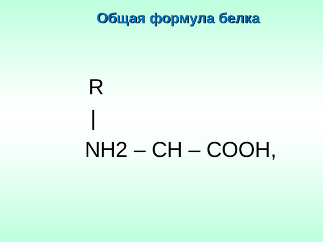 Общая формула белка    R  |  N Н2 – СН – СООН, 