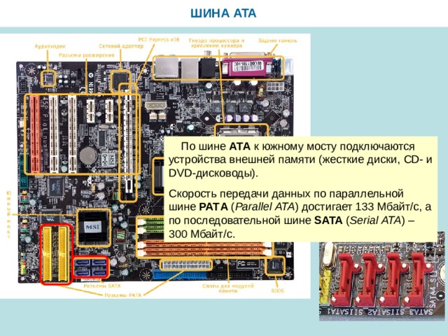 По какой шине к южному мосту подключаются устройства внешней памяти жесткие диски cd dvdдисководы