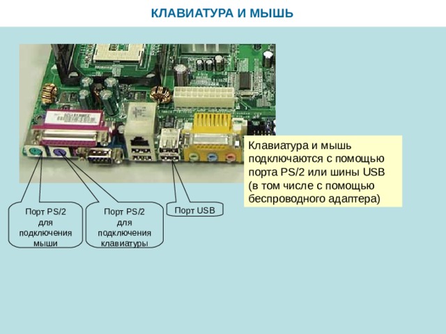 В слипинг догс зависают клавиатура и мышь