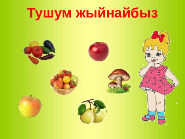 Тушум жыйнайбыз   