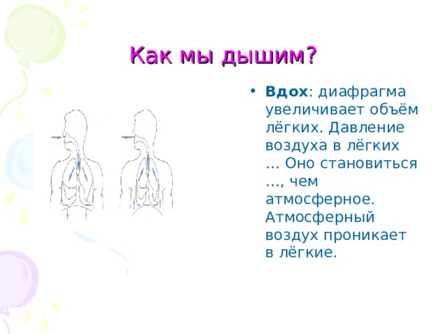 Как мы дышим? Вдох : диафрагма увеличивает объём лёгких. Давление воздуха в лёгких … Оно становиться …, чем атмосферное. Атмосферный воздух проникает в лёгкие. 