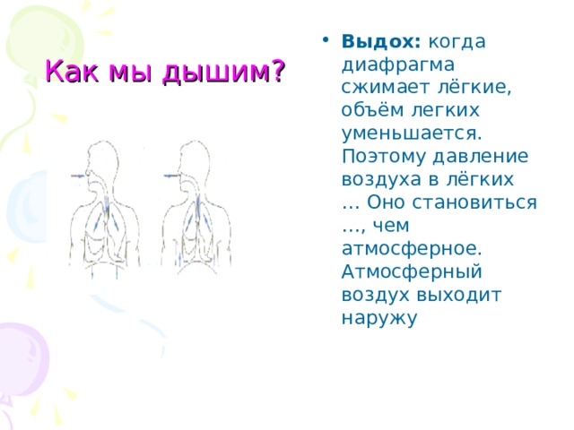 Как мы дышим? Выдох: когда диафрагма сжимает лёгкие, объём легких уменьшается. Поэтому давление воздуха в лёгких … Оно становиться …, чем атмосферное. Атмосферный воздух выходит наружу 