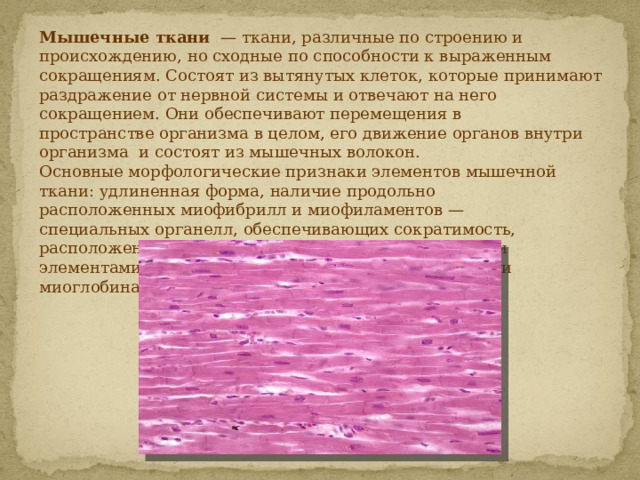 Стенки внутренних органов состоят из какой ткани