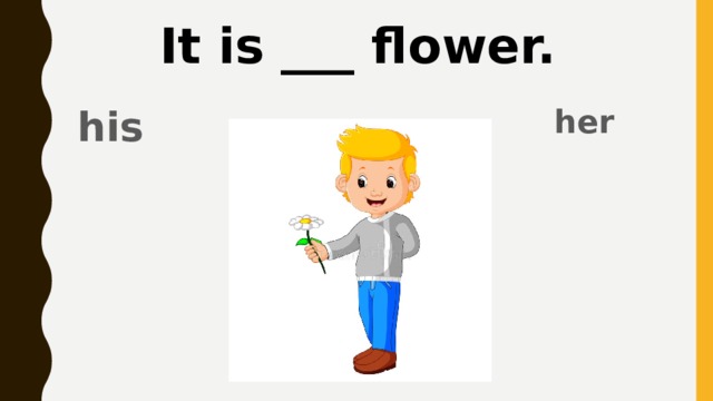It is ___ flower. her his 