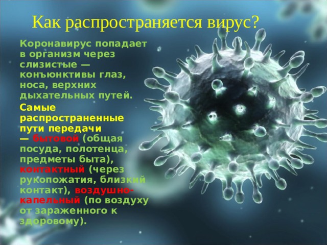 Как распространяется вирус? Коронавирус попадает в организм через слизистые — конъюнктивы глаз, носа, верхних дыхательных путей. Самые распространенные пути передачи —   бытовой  (общая посуда, полотенца, предметы быта), контактный (через рукопожатия, близкий контакт),  воздушно-капельный  (по воздуху от зараженного к здоровому). 