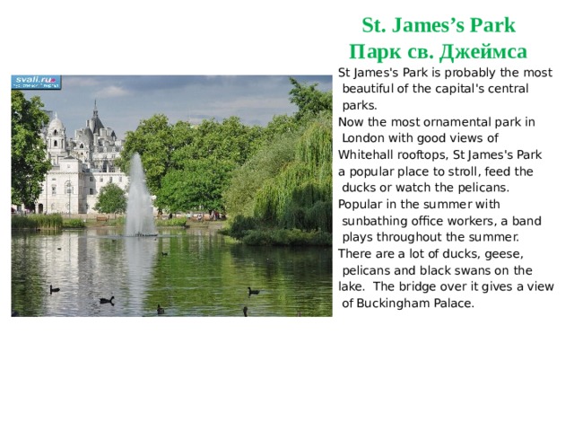 St. James’s Park  Парк св. Джеймса St James's Park is probably the most  beautiful of the capital's central  parks.    Now the most ornamental park in  London with good views of Whitehall rooftops, St James's Park a popular place to stroll, feed the  ducks or watch the pelicans.  Popular in the summer with  sunbathing office workers, a band  plays throughout the summer.  There are a lot of ducks, geese,  pelicans and black swans on the lake.  The bridge over it gives a view  of Buckingham Palace. 