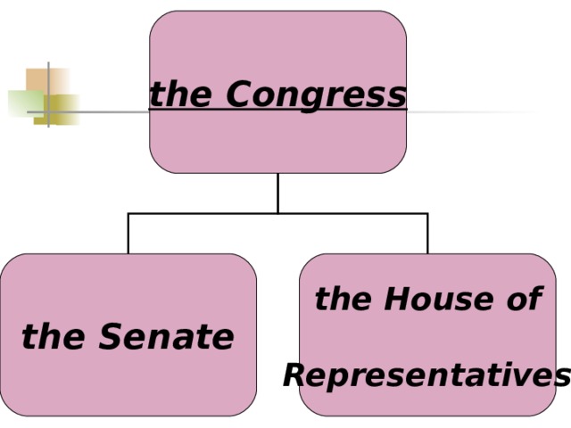 the Congress the Senate the House of  Representatives 