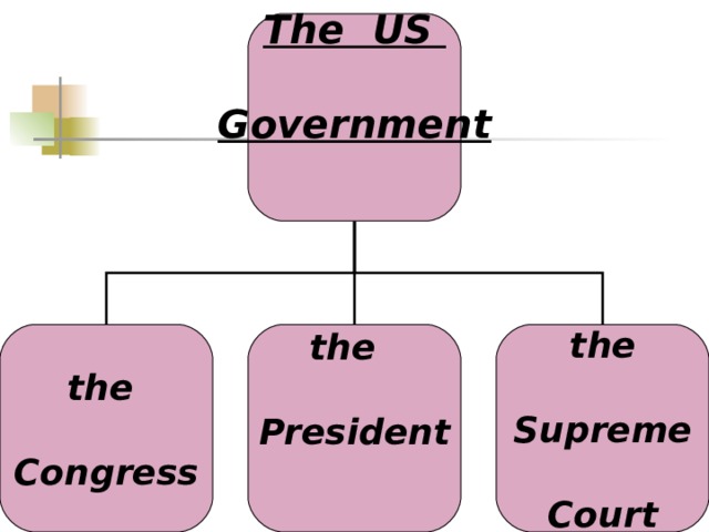 The US  Government   the  Congress the  President    the  Supreme  Court 