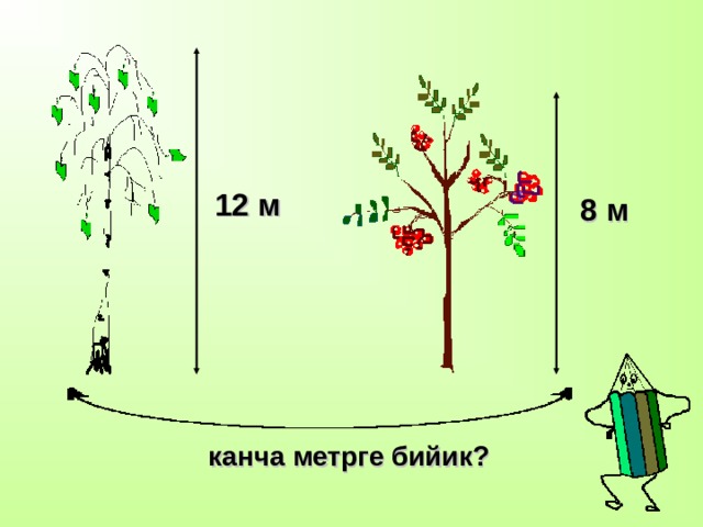 12 м 8 м канча метрге бийик? 