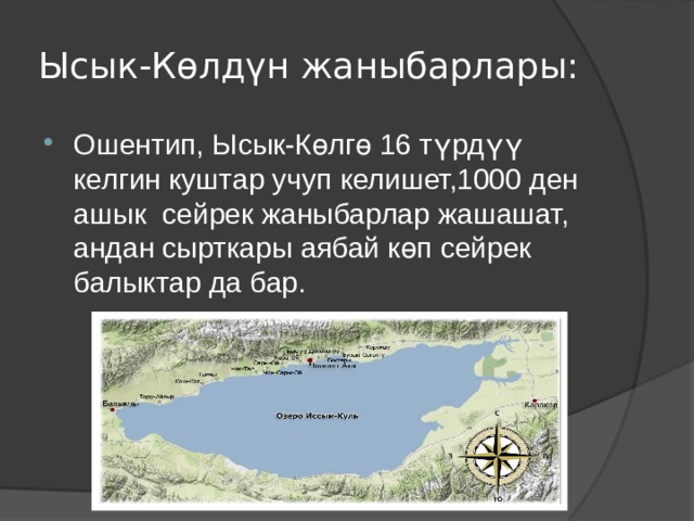 Ысык-Көлдүн жаныбарлары: Ошентип, Ысык-Көлгө 16 түрдүү келгин куштар учуп келишет,1000 ден ашык сейрек жаныбарлар жашашат, андан сырткары аябай көп сейрек балыктар да бар. 