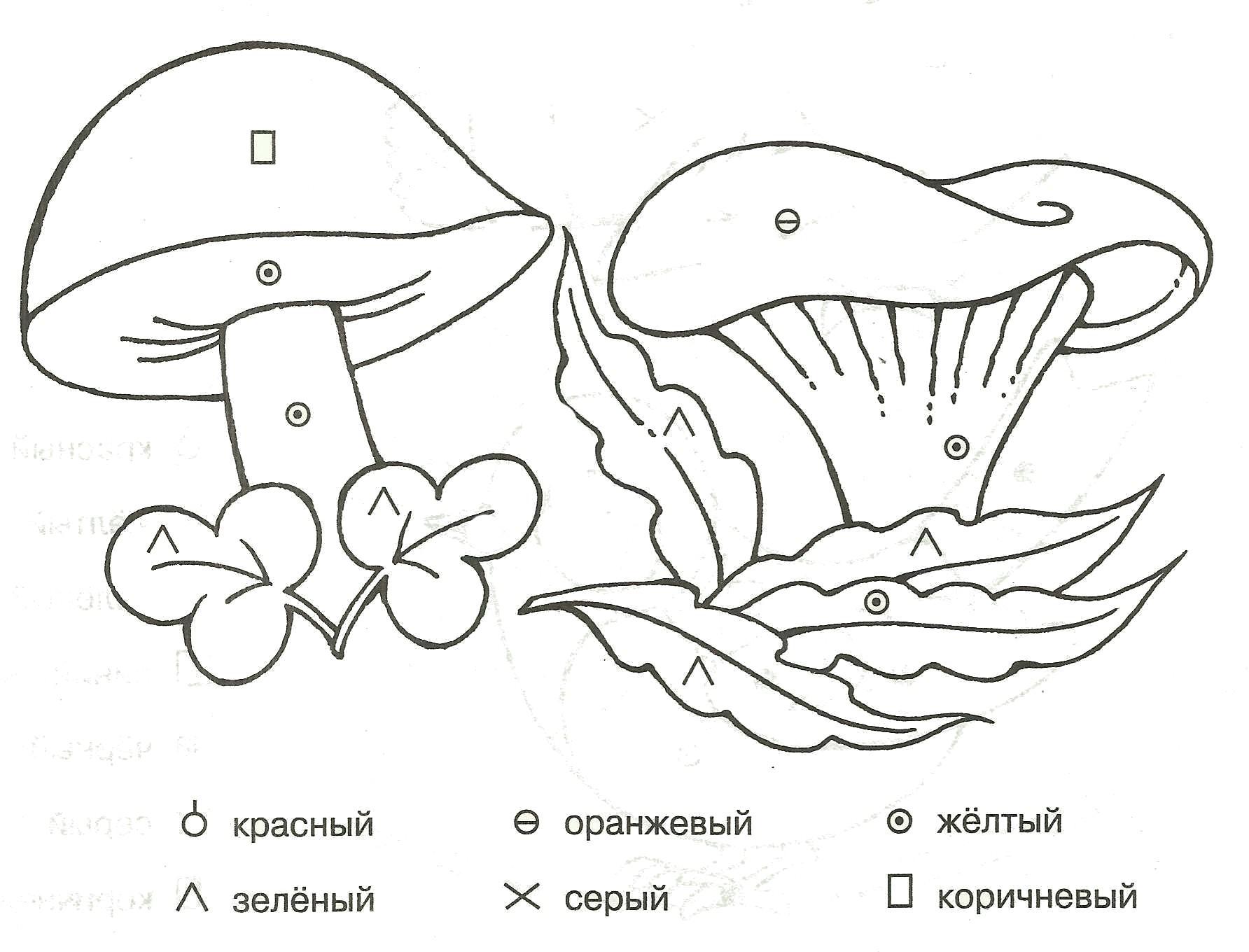 Раскраска картинки звук р грибы