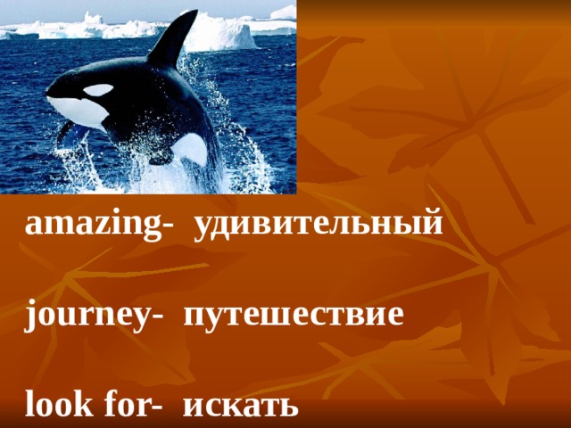 amazing- удивительный  journey- путешествие  look for- искать 