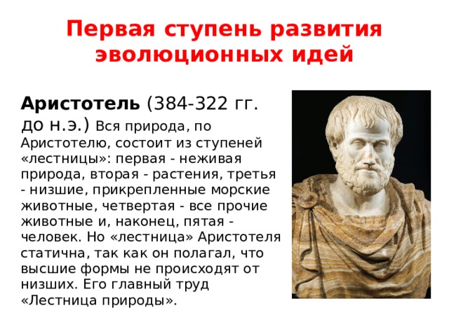 Эволюционные взгляды аристотеля. Философские идеи Аристотеля. Аристотель идеи кратко.