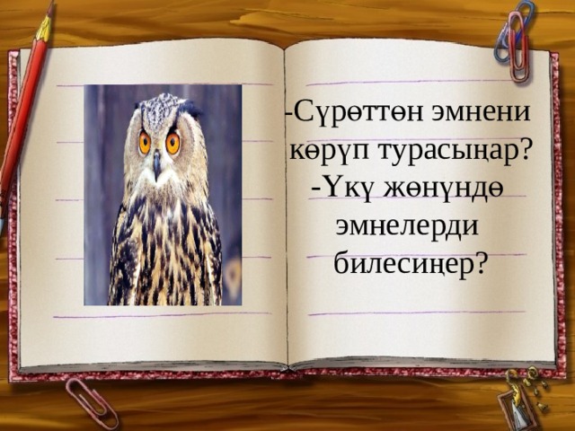 - Сүрөттөн эмнени көрүп турасыңар? -Үкү жөнүндө эмнелерди билесиңер? 