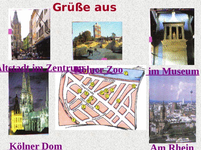 Grüße aus Köln  die Altstadt im Zentrum  Kölner Zoo  im Museum  Kölner Dom  Am Rhein