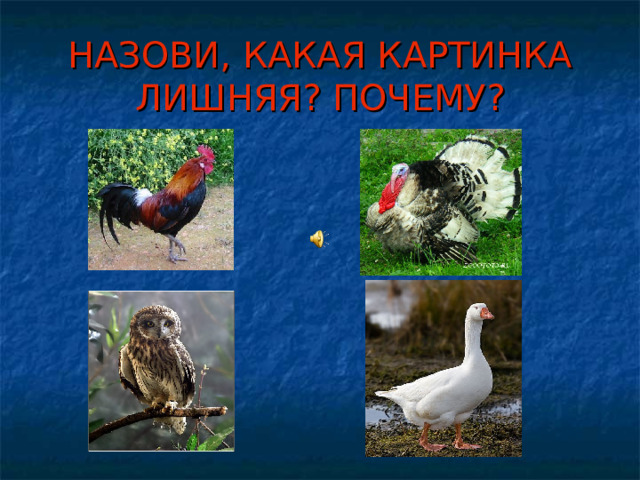 НАЗОВИ, КАКАЯ КАРТИНКА ЛИШНЯЯ? ПОЧЕМУ? 