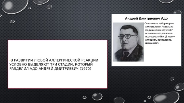 В развитии любой аллергической реакции условно выделяют три стадии, который разделил Адо Андрей Дмитриевич (1970)  