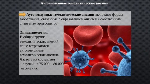 Аутоиммунные гемолитические анемии    Аутоиммунные гемолитические анемии  включают формы заболевания, связанные с образованием антител к собственным антигенам эритроцитов.  Эпидемиология :  В общей группе гемолитических анемий чаще встречаются аутоиммунные гемолитические анемии. Частота их составляет 1 случай на 75 000—80 000  населения. 