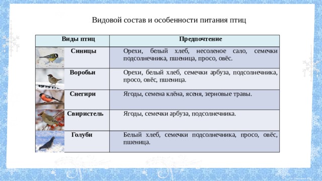 Видовой состав и особенности питания птиц Виды птиц Предпочтение  Синицы Орехи, белый хлеб, несоленое сало, семечки подсолнечника, пшеница, просо, овёс.  Воробьи Орехи, белый хлеб, семечки арбуза, подсолнечника, просо, овёс, пшеница.  Снегири  Свиристель Ягоды, семена клёна, ясеня, зерновые травы. Ягоды, семечки арбуза, подсолнечника.  Голуби Белый хлеб, семечки подсолнечника, просо, овёс, пшеница. 