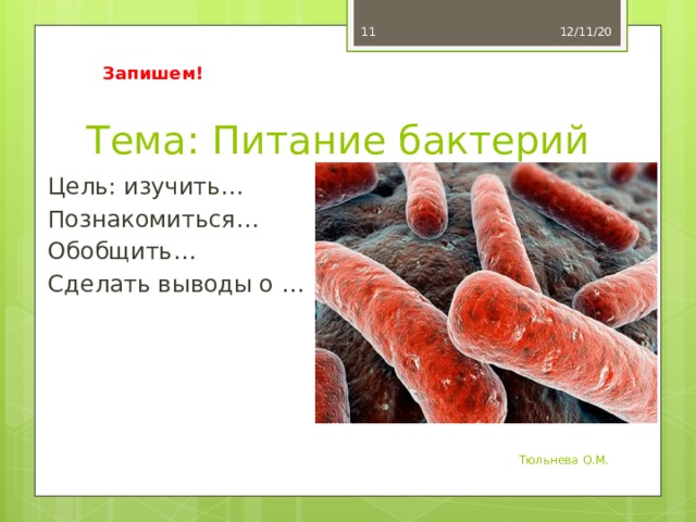 Гнилостные бактерии питание. Бактерии и еда для бактерий. Тест на микроорганизмы в еде.