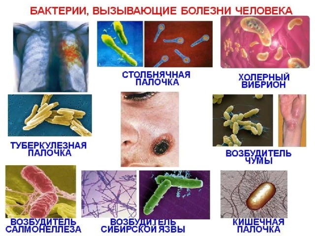 12/11/20  Тюльнева О.М. 