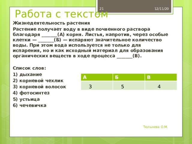  12/11/20 Работа с текстом Жизнедеятельность растения Растение получает воду в виде почвенного раствора благодаря _______(А) корня. Листья, напротив, через особые клетки — _______(Б) — испаряют значительное количество воды. При этом вода используется не только для испарения, но и как исходный материал для образования органических веществ в ходе процесса _______(В).  Список слов: 1) дыхание 2) корневой чехлик 3) корневой волосок 4) фотосинтез 5) устьица 6) чечевичка А Б В 3 5 4 Тюльнева О.М. 