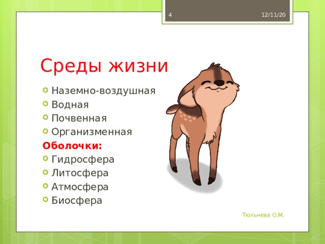  12/11/20 Среды жизни Наземно-воздушная Водная Почвенная Организменная Оболочки: Гидросфера Литосфера Атмосфера Биосфера Тюльнева О.М. 