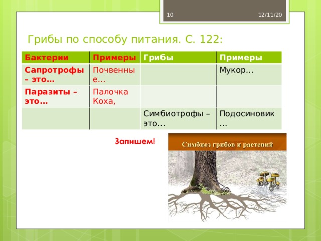 Грибы по способу питания. С. 122:  12/11/20 Бактерии Примеры Сапротрофы – это… Почвенные… Паразиты – это… Грибы Палочка Коха, Примеры Мукор… Симбиотрофы – это… Подосиновик… Тюльнева О.М. 