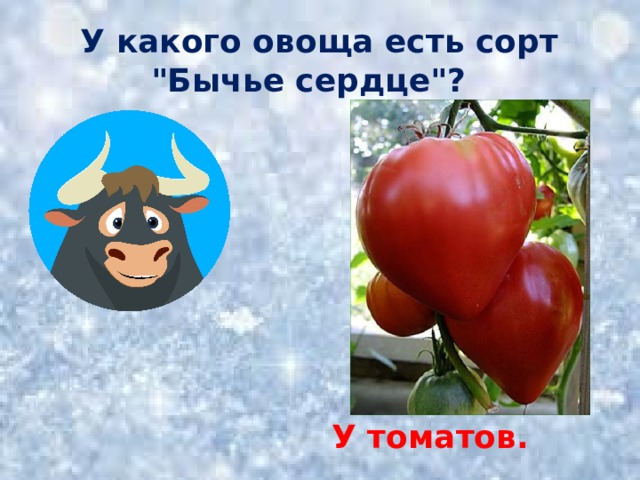  У какого овоща есть сорт 