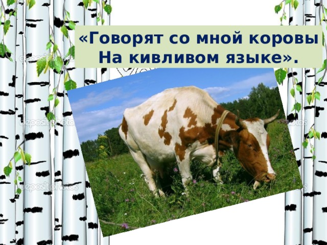 «Говорят со мной коровы На кивливом языке». 