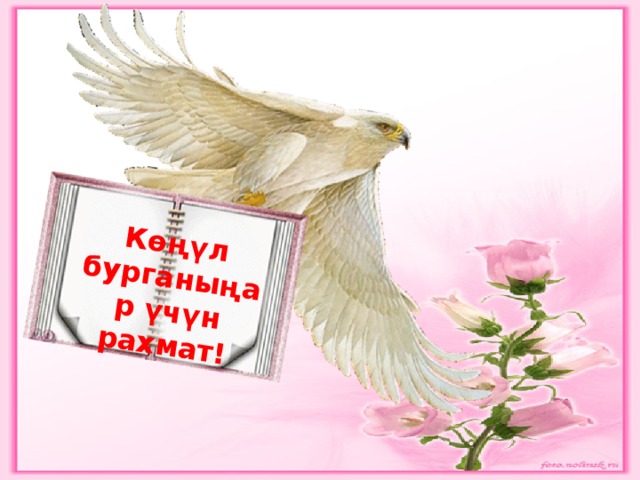 Көңүл бурганыңар үчүн рахмат! 