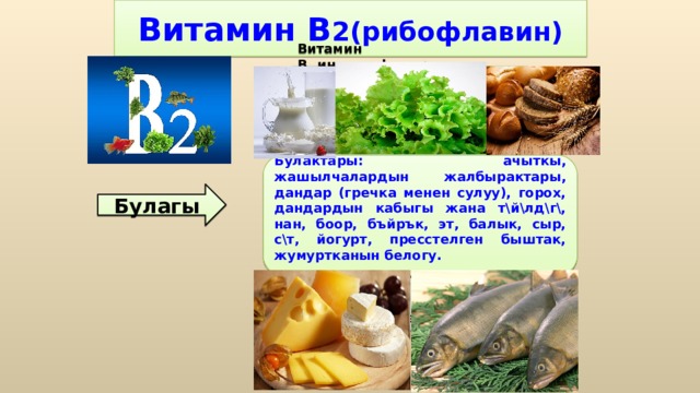 Витамин В 2(рибофлавин) Витамин B 2  интенсифицирует процессы обмена веществ в организме, участвует в метаболизме белков, жиров и углеводов, необходим для образования красных кровяных телец и антител, для дыхания клеток и роста. Он облегчает поглощение кислорода клетками кожи, ногтей и волос, улучшает состояние органа зрения, принимая, наряду с витамином A, участие в процессах темновой адаптации, снижает усталость глаз и играет большую роль в предотвращении катаракты. Булактары: ачыткы, жашылчалардын жалбырактары, дандар (гречка менен сулуу), горох, дандардын кабыгы жана т\й\лд\г\, нан, боор, бъйрък, эт, балык, сыр, с\т, йогурт, пресстелген быштак, жумуртканын белогу. Булагы 