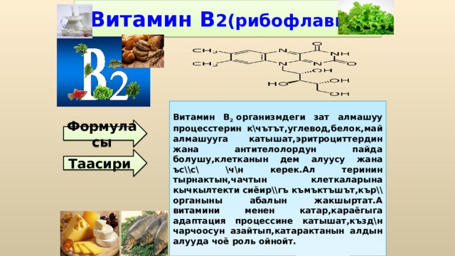 Витамин В 2(рибофлавин) Витамин B 2  организмдеги зат алмашуу процесстерин к\чътът,углевод,белок,май алмашууга катышат,эритроциттердин жана антителолордун пайда болушу,клетканын дем алуусу жана ъс\\с\ \ч\н керек.Ал теринин тырнактын,чачтын клеткаларына кычкылтекти сиёир\\гъ къмъктъшът,кър\\ органыны абалын жакшыртат.А витамини менен катар,караёгыга адаптация процессине катышат,къзд\н чарчоосун азайтып,катарактанын алдын алууда чоё роль ойнойт. Формуласы Таасири 