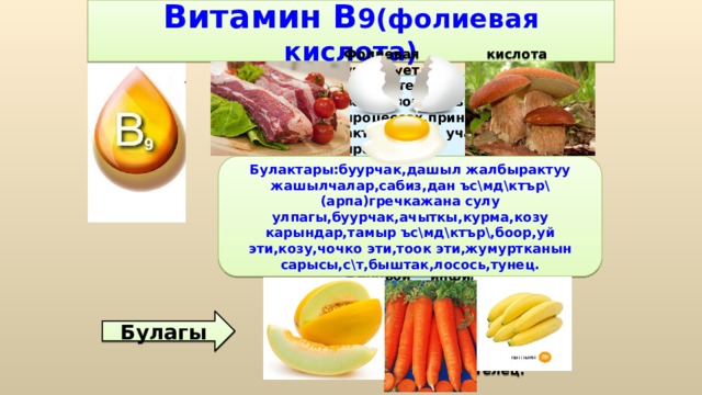Витамин В 9(фолиевая кислота) Фолиевая кислота участвует в окислительно-восстановительных процессах,принимает активное участие в процессах регуляции функций органов кроветворения. Также положительно влияет на функции кишечника и печени, повышает содержание холина в печени и препятствует ее жировой инфильтрации, поддерживает иммунную систему, способствует нормальному образованию и функционированию белых кровяных телец. Булактары:буурчак,дашыл жалбырактуу жашылчалар,сабиз,дан ъс\мд\ктър\(арпа)гречкажана сулу улпагы,буурчак,ачыткы,курма,козу карындар,тамыр ъс\мд\ктър\,боор,уй эти,козу,чочко эти,тоок эти,жумуртканын сарысы,с\т,быштак,лосось,тунец. Булагы 