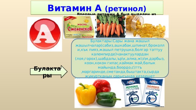 Витамин А  (ретинол) Впервые витамин А был выделен из моркови, поэтому от английского carrot (морковь) произошло название группы витаминов А - каротиноиды. Витамин А участвует в окислительно-восстановительных процессах, регуляции синтеза белков, способствует нормальному обмену веществ, функции клеточных и субклеточных мембран, играет важную роль в формировании костей и зубов, а также жировых отложений; необходим для роста новых клеток, замедляет процесс старения. Издавна известно влияние витамина А на зрение. Витамин А благотворно влияет на функционирование легких.  Булактары:Сары жана жашыл жашылчалар(сабиз,ашкабак,шпинат,броколли,кък пияз,жашыл петрушка,болгар таттуу калемпирде)чанактуулардан (лоя,горох),шабдалы,ър\к,алма,ж\з\м,дарбыз,коон,кокон гилас,каймак май,балык майында,боордо,с\ттъ ,маргаринде,сметанда,быштакта,сырда жумуртканын сарысында кездешет Булактары 
