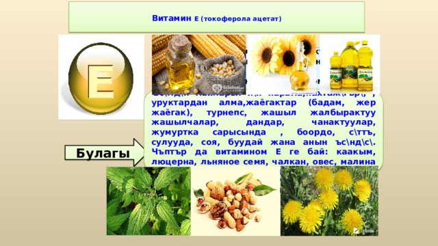  Витамин Е (токоферола ацетат)   Витамин Е улучшает циркуляцию крови, необходим для регенерации тканей, полезен при предменструальном синдроме и лечении фиброзных заболевания груди. Он обеспечивает нормальную свертываемость крови и заживление; снижает возможность образования шрамов от некоторых ран; снижает кровяное давление; способствует предупреждению катаракт; улучшает атлетические достижения; снимает судороги ног; поддерживает здоровье нервов и мускулов; укрепляя стенки капилляров; предотвращает анемию. Ъс\мд\к майлары: к\н карама,пахтаж\гър\, ; уруктардан алма,жаёгактар (бадам, жер жаёгак), турнепс, жашыл жалбырактуу жашылчалар, дандар, чанактуулар, жумуртка сарысында , боордо, с\ттъ, сулууда, соя, буудай жана анын ъс\нд\с\. Чъптър да витамином Е ге бай: каакым, люцерна, льняное семя, чалкан, овес, малина жалбырагы, ит мурундун жемишинде. Булагы 