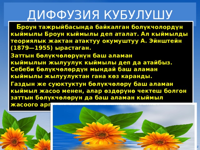 ДИФФУЗИЯ КУБУЛУШУ  Б роун тажрыйбасында байкалган болүкчолордүн кыймылы Броун кыймылы деп аталат. Ал кыймылды теориялык жактан атактуу окумуштуу А. Эйнштейн (1879—1955) ырастаган. Заттын бөлүкчөлөрүнүн баш аламан кыймылын жылуулук кыймылы деп да атайбыз. Себеби бөлүкчөлөрдүн мындай баш аламан кыймылы жылуулуктан гана көз каранды. Газдын же суюктуктун бөлүкчөлөрү баш аламан кыймыл жасоо менен, алар өздөрүнө чектеш болгон заттын бөлүкчөлөрүн да баш аламан кыймыл жасоого аргасыз кылып, аралашып кетишет. 