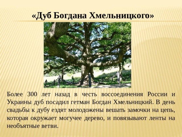«Дуб Богдана Хмельницкого»  Более 300 лет назад в честь воссоединения России и Украины дуб посадил гетман Богдан Хмельницкий. В день свадьбы к дубу ездят молодожены вешать замочки на цепь, которая окружает могучее дерево, и повязывают ленты на необъятные ветви. 
