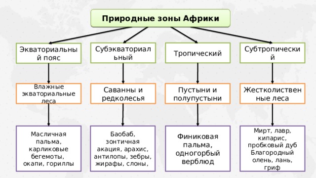 Природные зоны африки класс. Природные зоны Африки 7 класс.