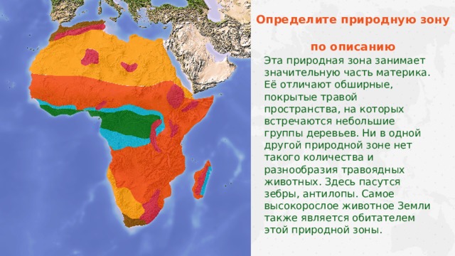 Определи природу зону по описанию. Определите природную зону по описанию. Определи природную зону по описанию.