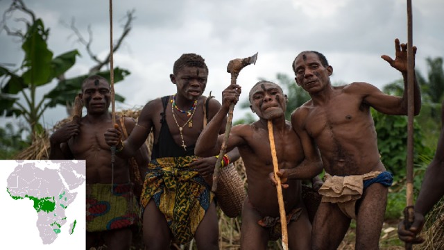 Племя пигмеи «Люди величиной с кулак» Средний рост составляет 130 –140 см  