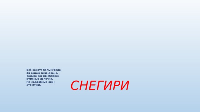           Всё вокруг белым-бело,  За окном зима давно.  Только вот на яблонях  румяные яблочки.  Не съедобные они!  Это птицы -   СНЕГИРИ 
